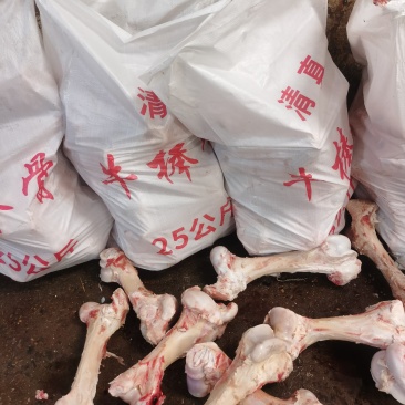 纯圆牛棒骨