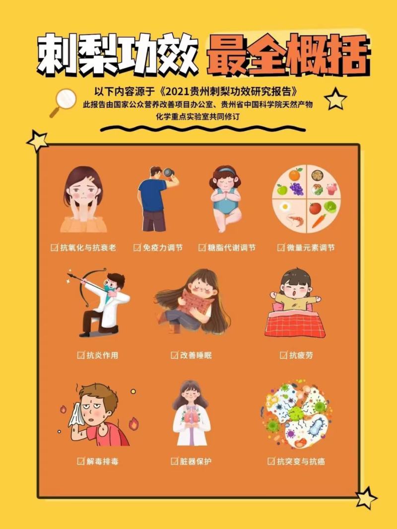 源头工厂刺梨原液OEM代加工