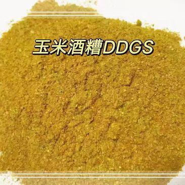 烘干玉米高蛋白（DDGS）量大从优，100斤袋装