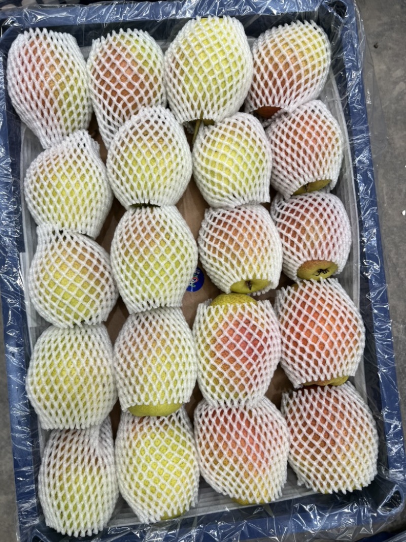 酥梨山西运城龙居红香酥梨现货供应保质保量欢迎咨询