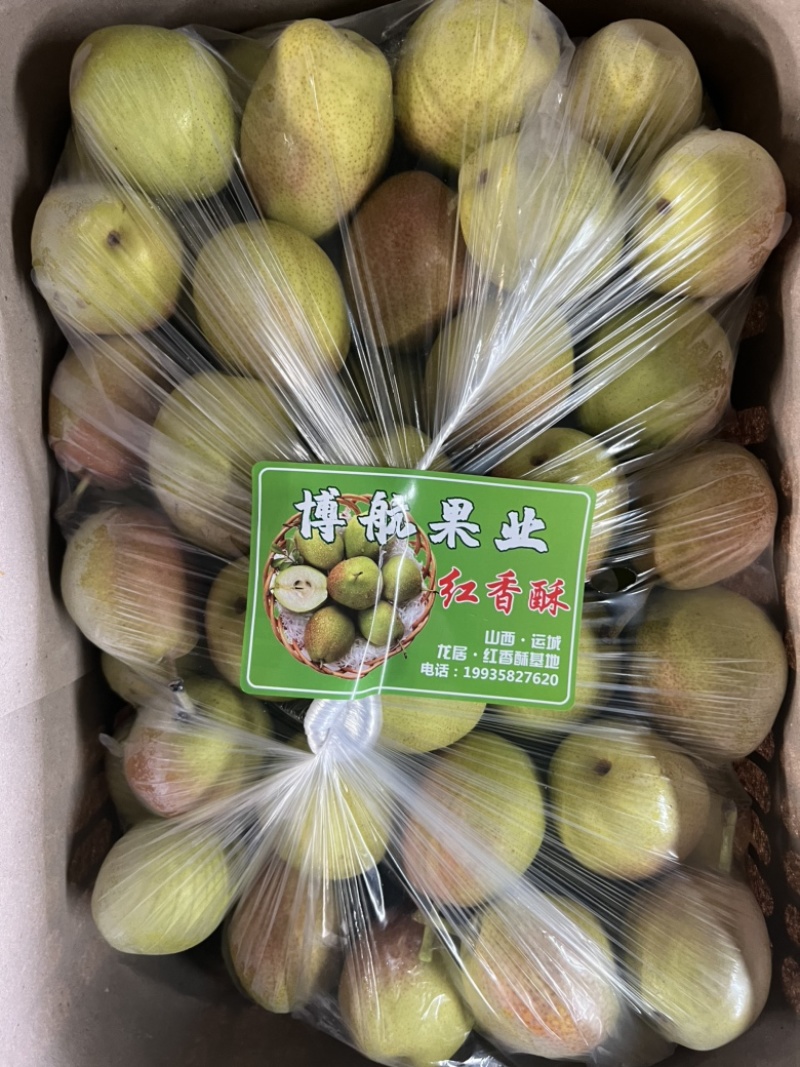 酥梨山西运城龙居红香酥梨现货供应保质保量欢迎咨询