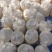 陕西豆渣现磨无添加品质保证量大从优货源稳定全国发货