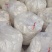 陕西豆渣现磨无添加品质保证量大从优货源稳定全国发货