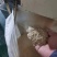 河南鹤壁【麦麸】货源充足产地直销厂家直销一手货源