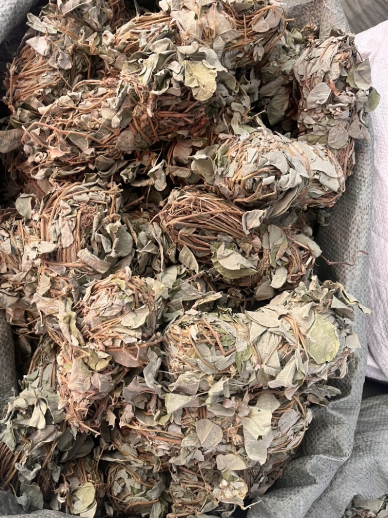 金钱草切段扎巴两种规格3公斤起发