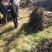 山西火炬1一6公分山西火炬种植基地。
