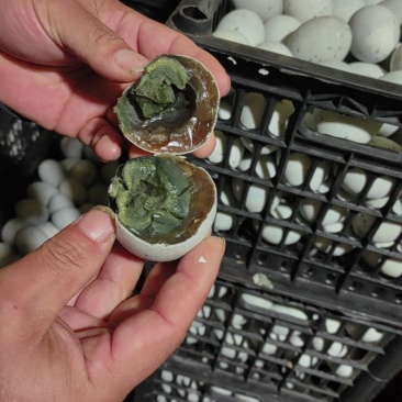 松花蛋大量出货