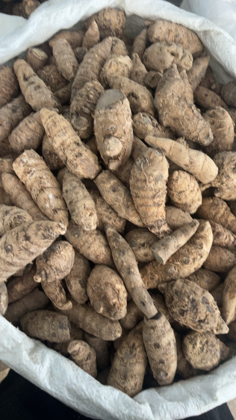 莪术个子切片两种规格快递，物流云南莪术