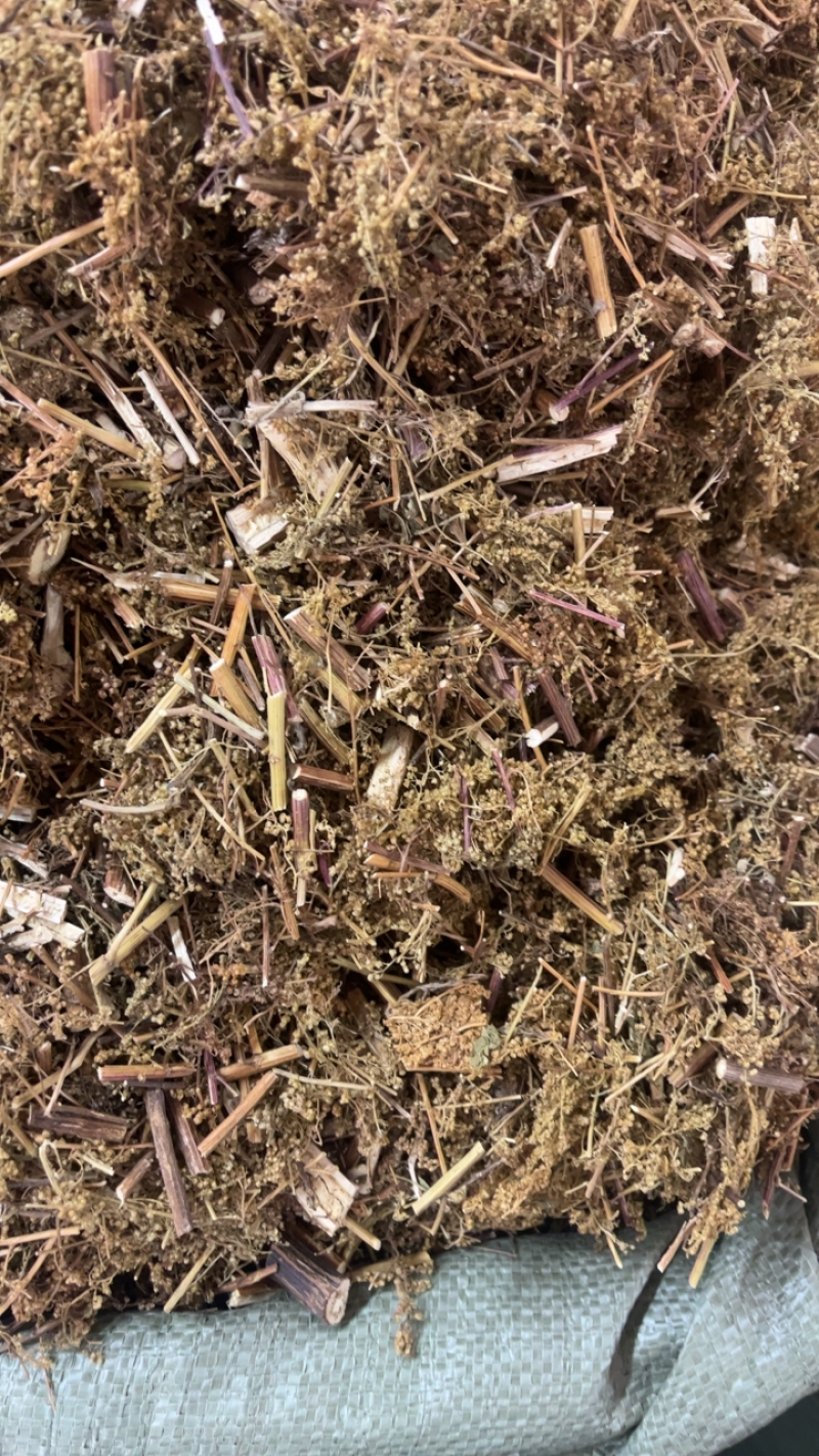 青蒿产地直销一手货源量大从优