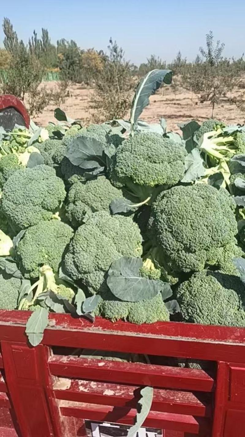 西兰花