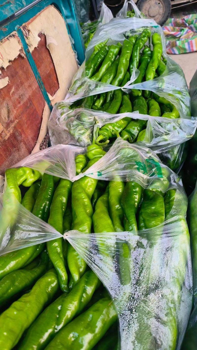鲜辣椒，品种齐全，货源充足，全国发货量大优惠