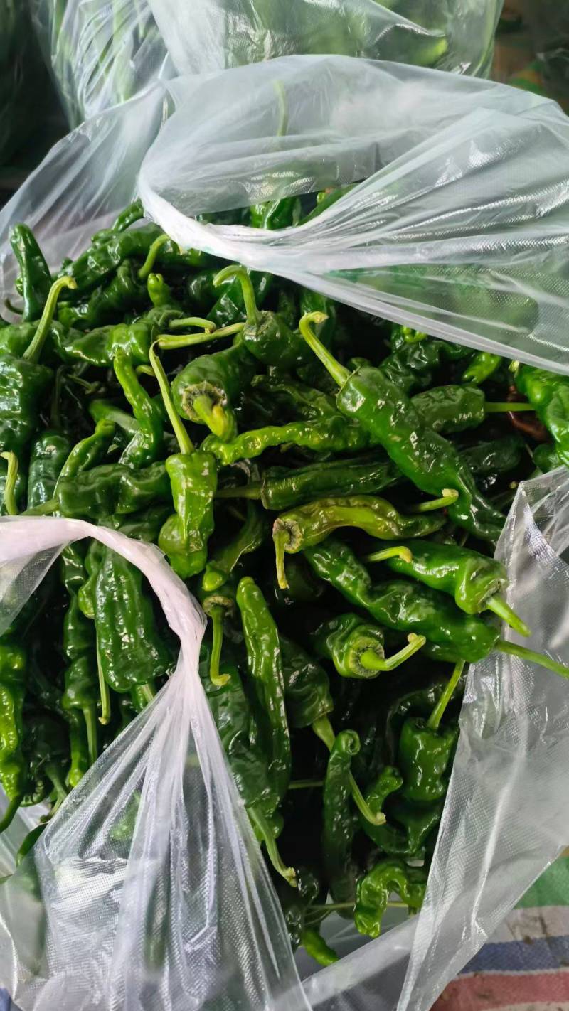 鲜辣椒，品种齐全，货源充足，全国发货量大优惠