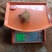 湛江精品红沙地毛薯，条型好，入口即化。