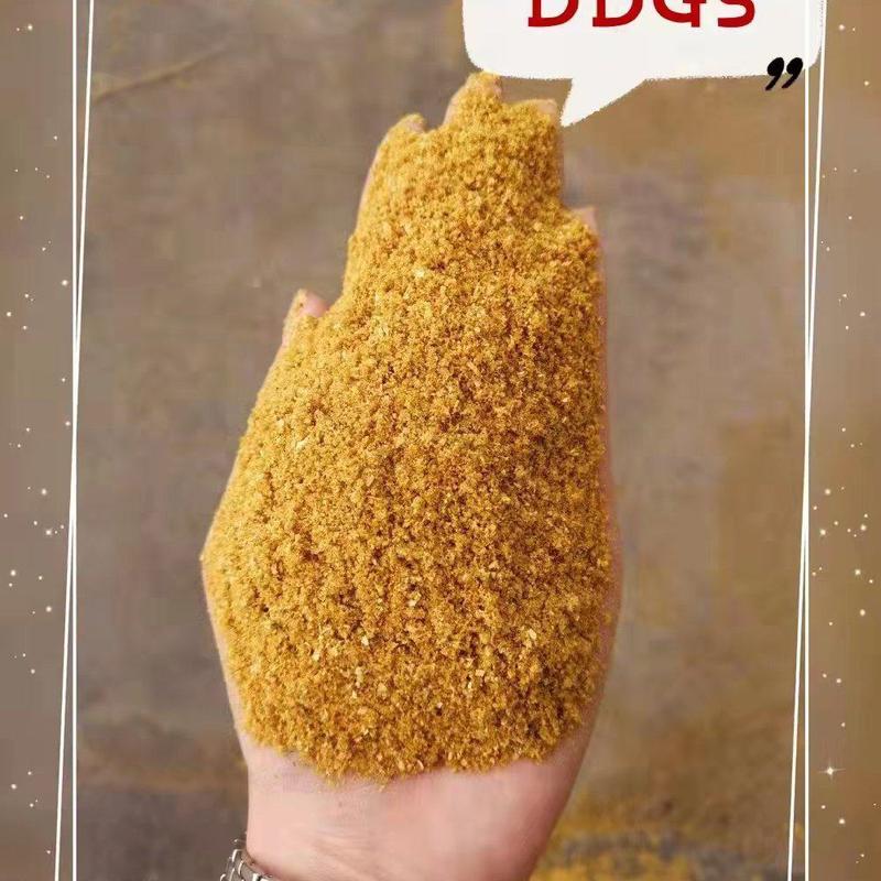 烘干玉米高蛋白DDGS，量大从优，100斤袋装