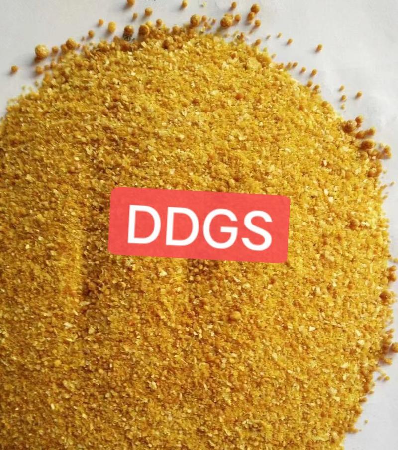 烘干玉米高蛋白DDGS，量大从优，100斤袋装