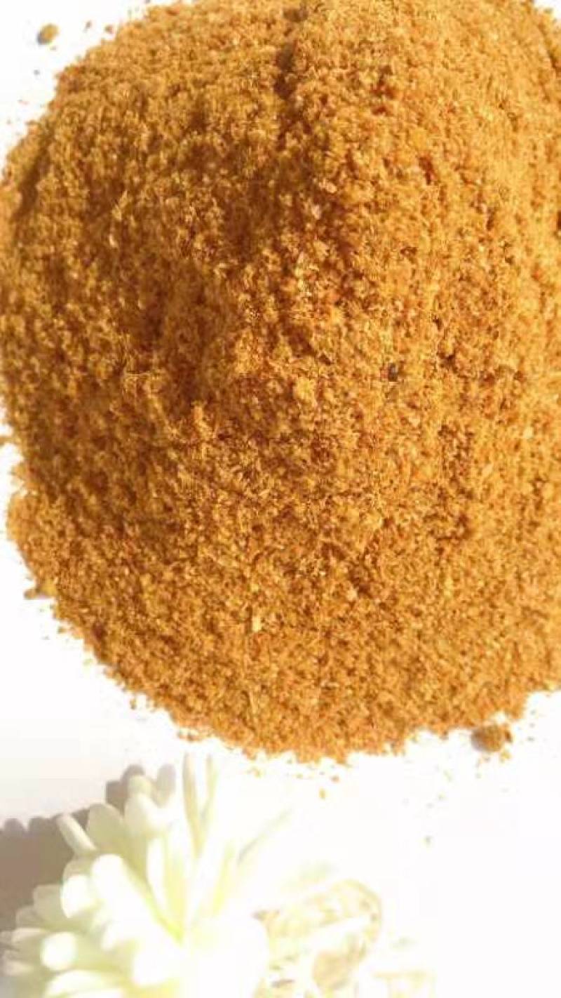 烘干玉米高蛋白DDGS，可替代部分玉米，降本增效。
