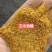 烘干玉米高蛋白DDGS，可替代部分玉米，降本增效。