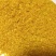 烘干玉米高蛋白DDGS，可替代部分玉米，降本增效。