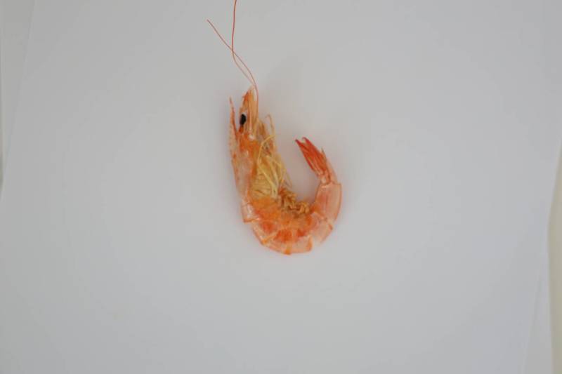 烤虾干零食烤虾一件代发厂家直销