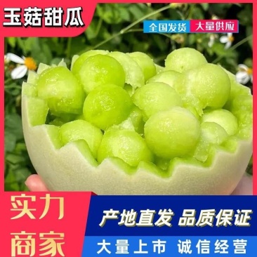 海南精品奶香蜜，产地大量供应各大市场，商超，质量保证，