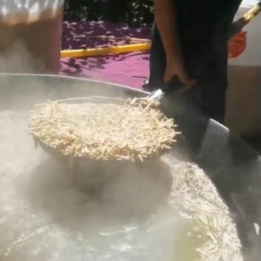 云南西双版纳傣族自治州竹虫一手货源