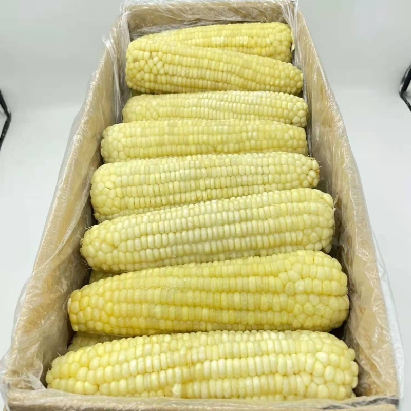 大量东北速冻粘糯玉米对接社区团口档口批发商
