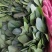 聊城精品大叶菠菜，产地直发，超市电商，社区团购，按需包装