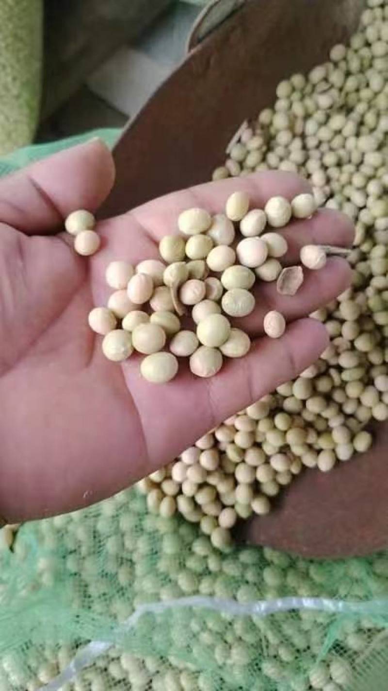 粒大，颜色好