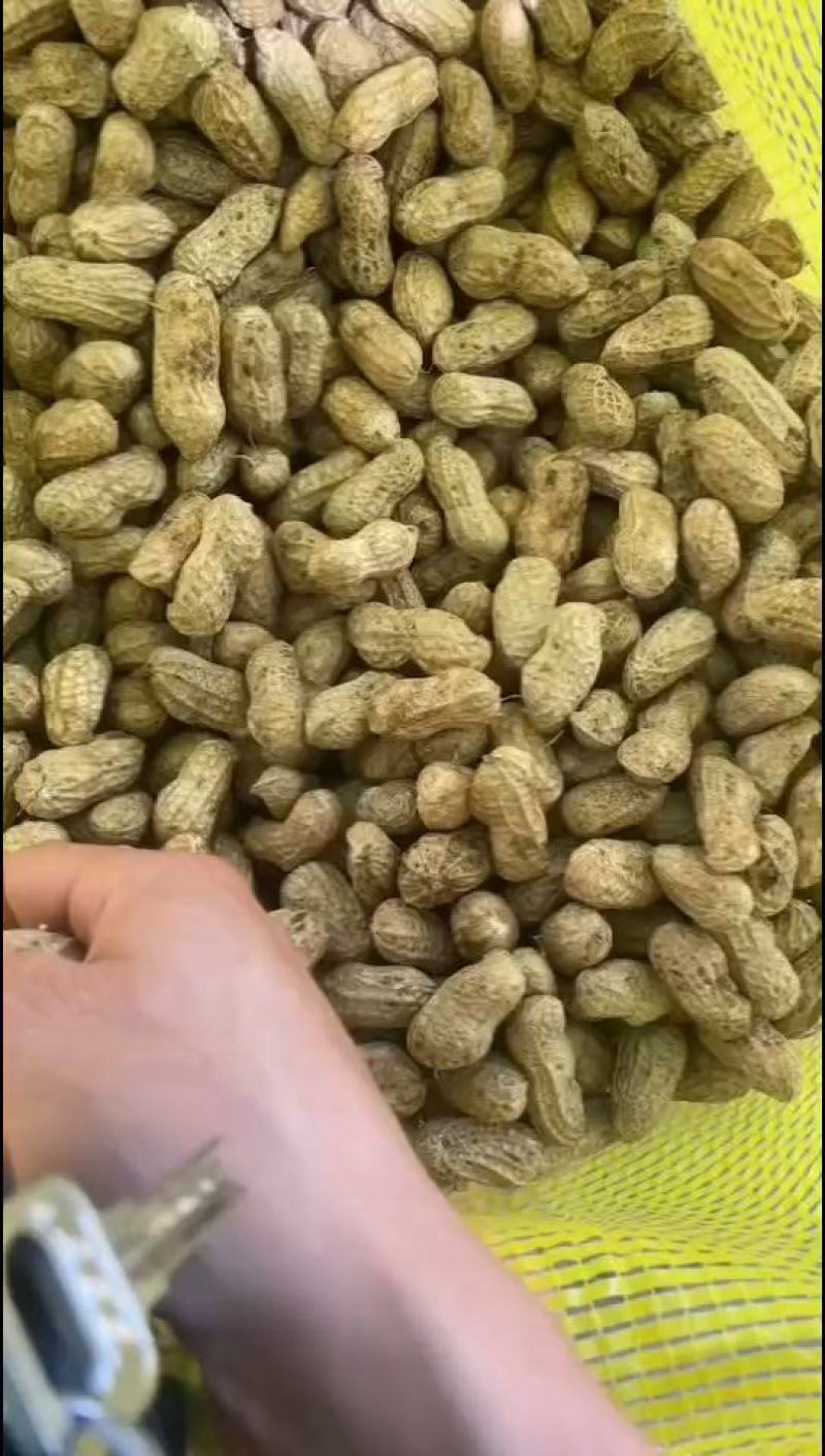 【精品花生】一手货源，承接社区团购平台货市场货各种