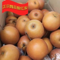 魏县老红梨，冷库膜袋老红梨红酸梨，膜袋鸭梨，膜袋雪花梨