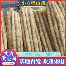 超市，精品市场小白嘴山药大量供应基地直供价格优惠