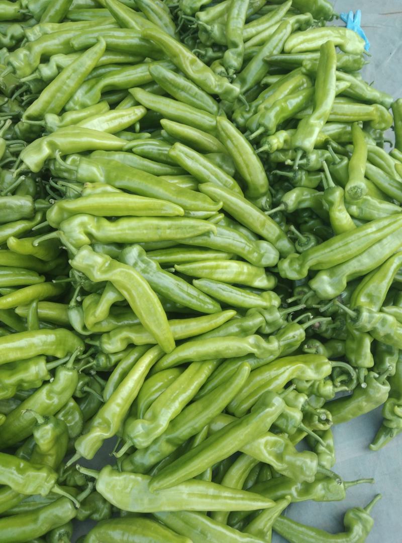 大量有货