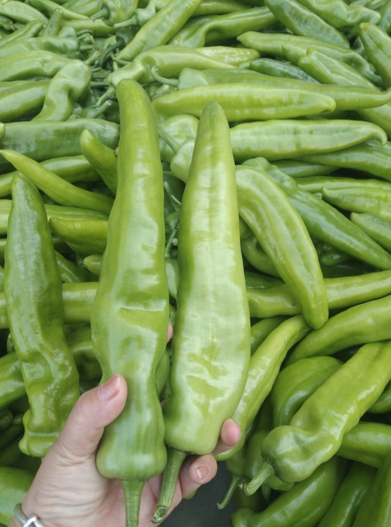 大量有货