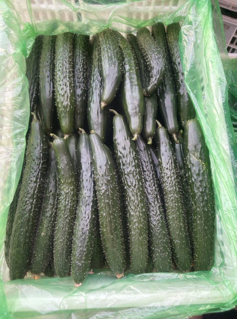 大量有货