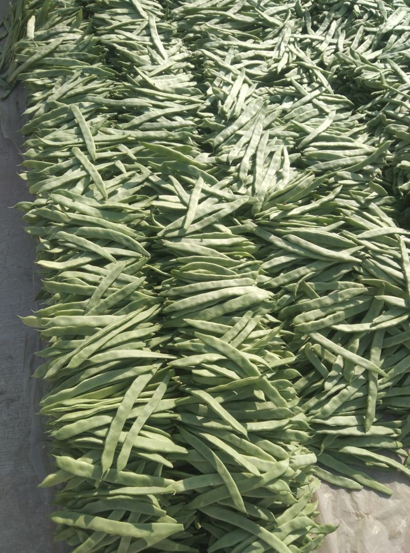 大量有货