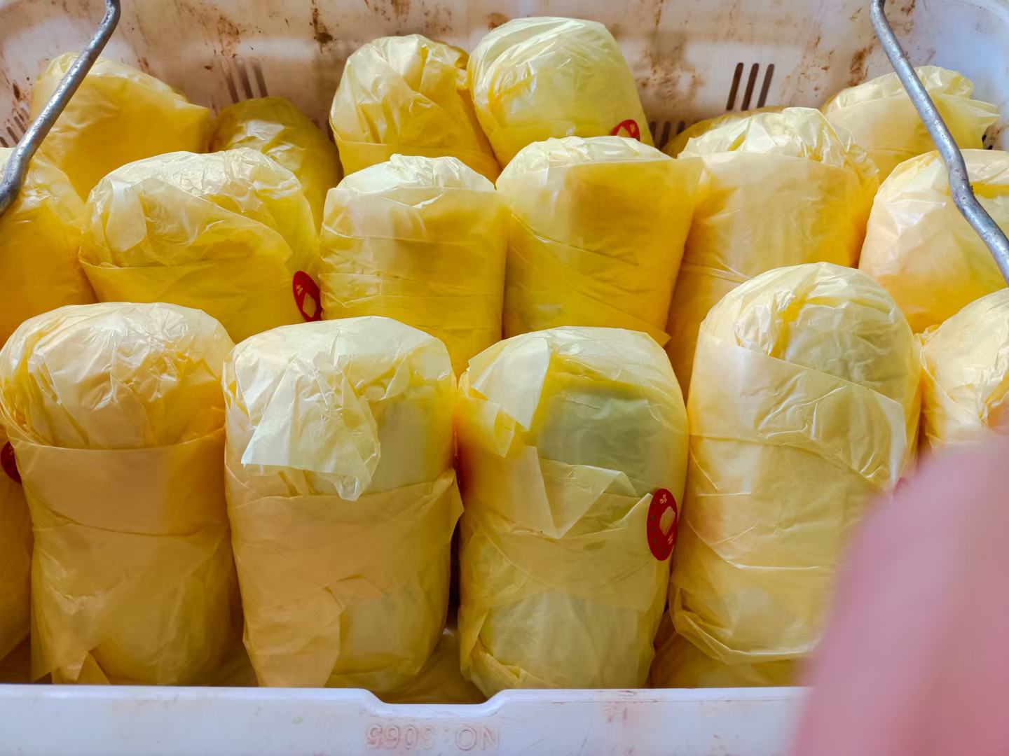 香菜深加工产品展示图