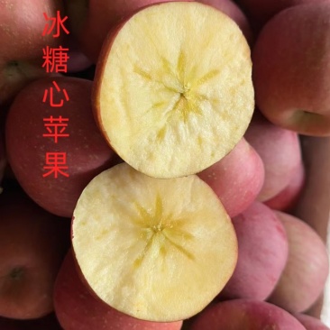 昭通冰糖心苹果，现摘现发，基地直销
