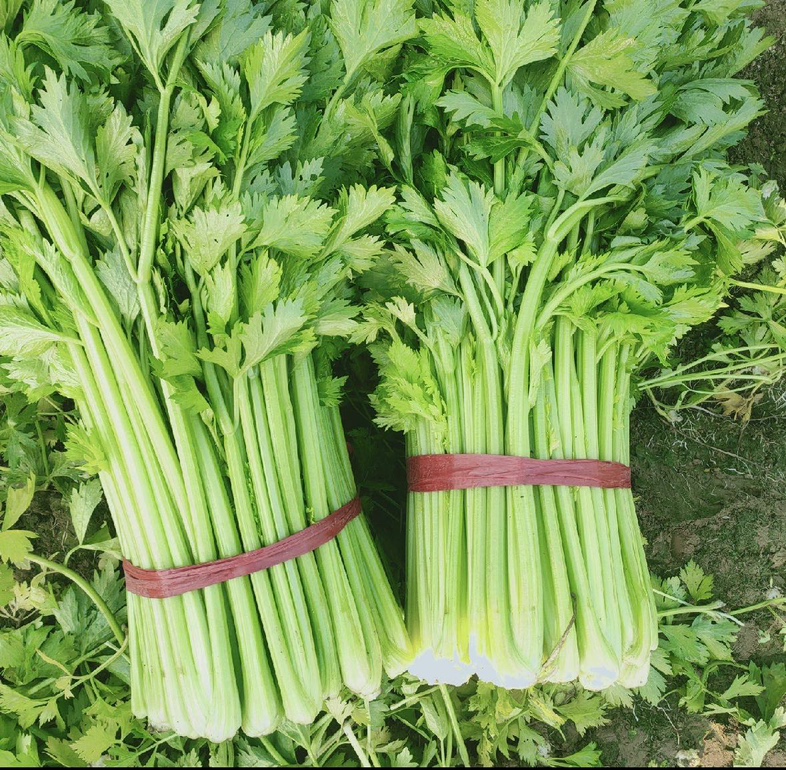 芹菜凉拌成品图