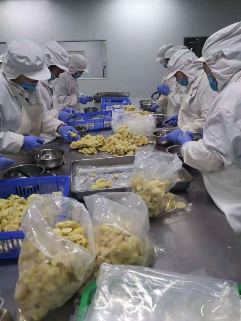 优质榴莲小块烘焙原料金枕榴莲冻榴莲