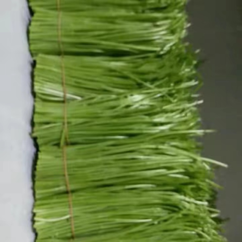 精品芦蒿