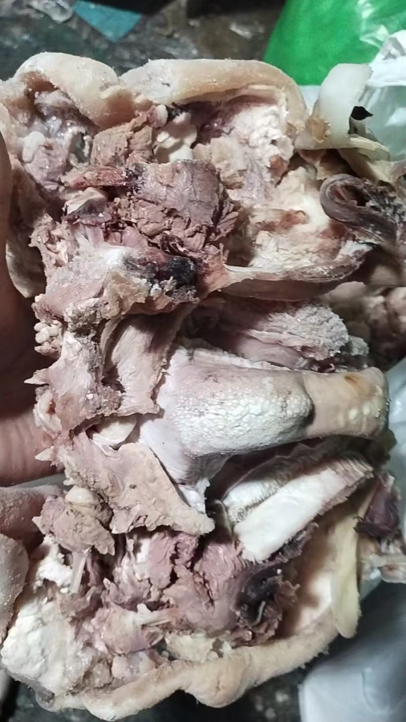 羊头肉，纯干羊头肉，火烧去毛，全是白头，货源稳定证件齐全