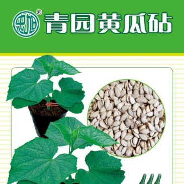 黄瓜砧木嫁接黄瓜砧木种子商品质抗病高产抗早衰去蜡粉