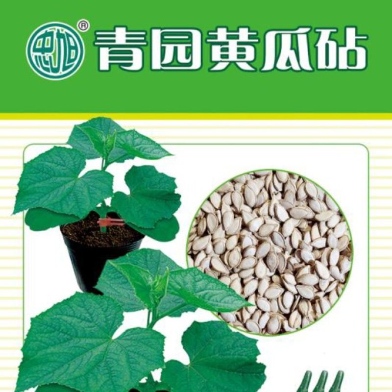 黄瓜砧木嫁接黄瓜砧木种子商品质抗病高产抗早衰去蜡粉