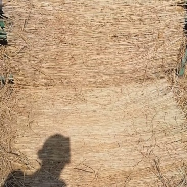草苫，稻草和各种草制品出售。批发保暖稻草草苫大棚草帘