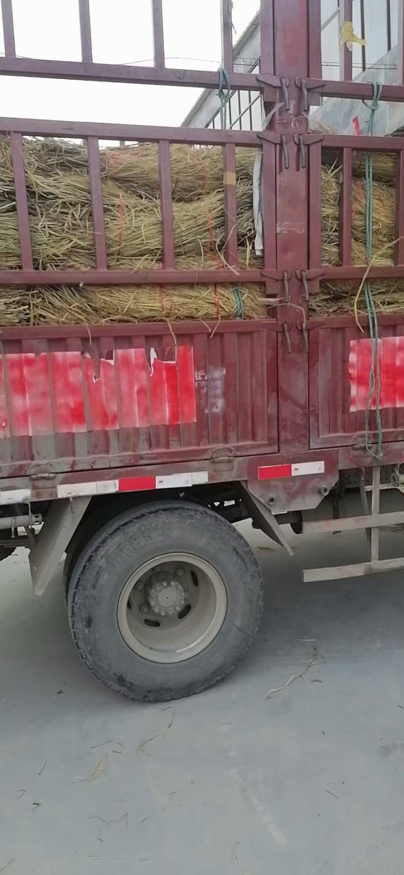 批发保暖稻草草苫子大棚草帘绿化草帘草苫子稻草帘