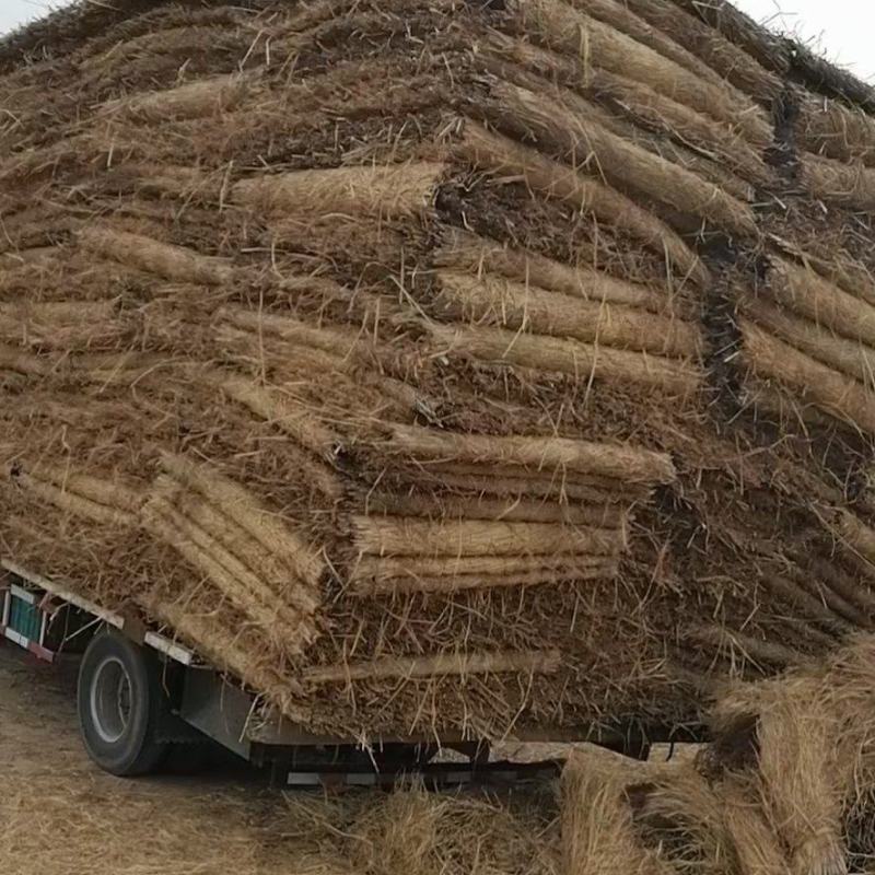 批发保暖稻草草苫子大棚草帘绿化草帘草苫子稻草帘