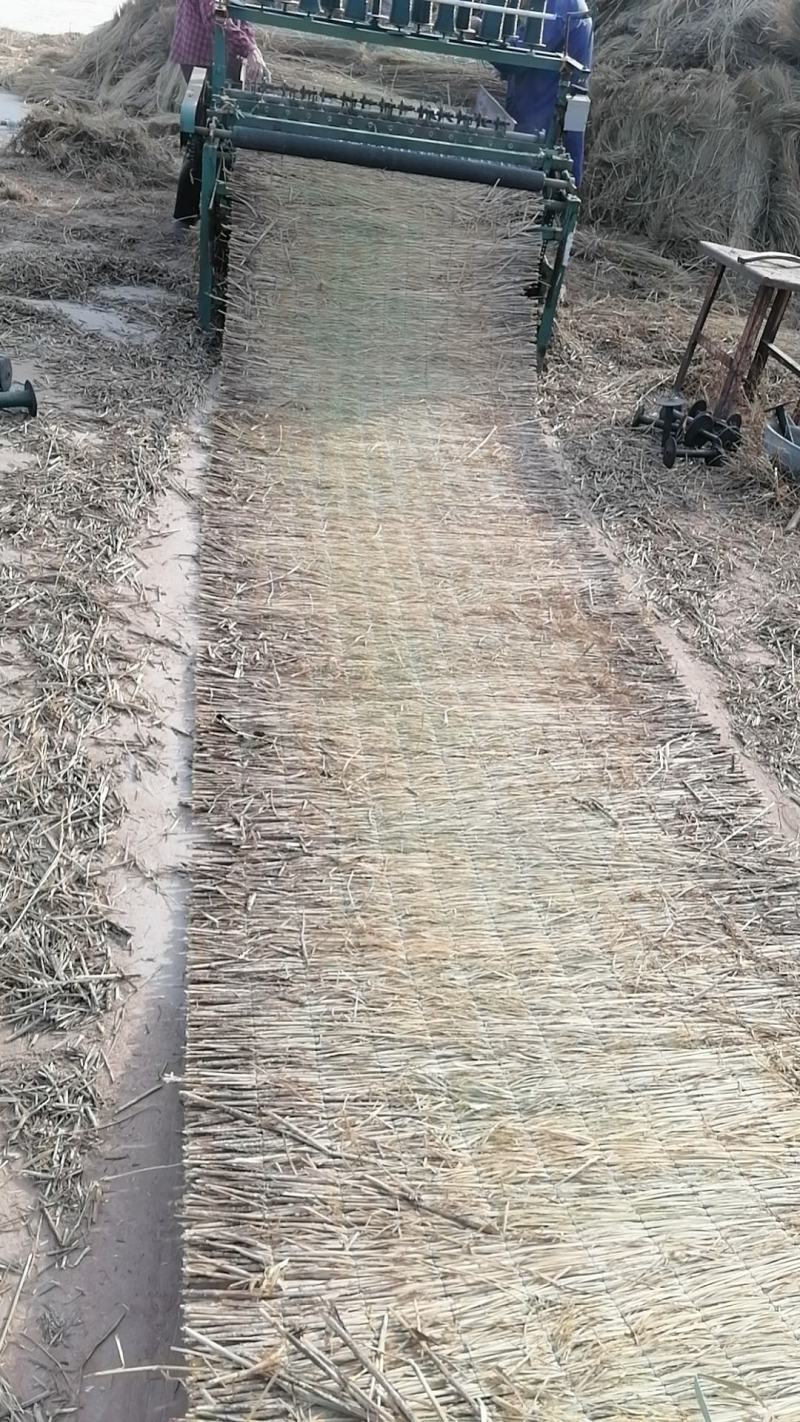 草苫，稻草和各种草制品出售。批发保暖稻草草苫大棚草帘