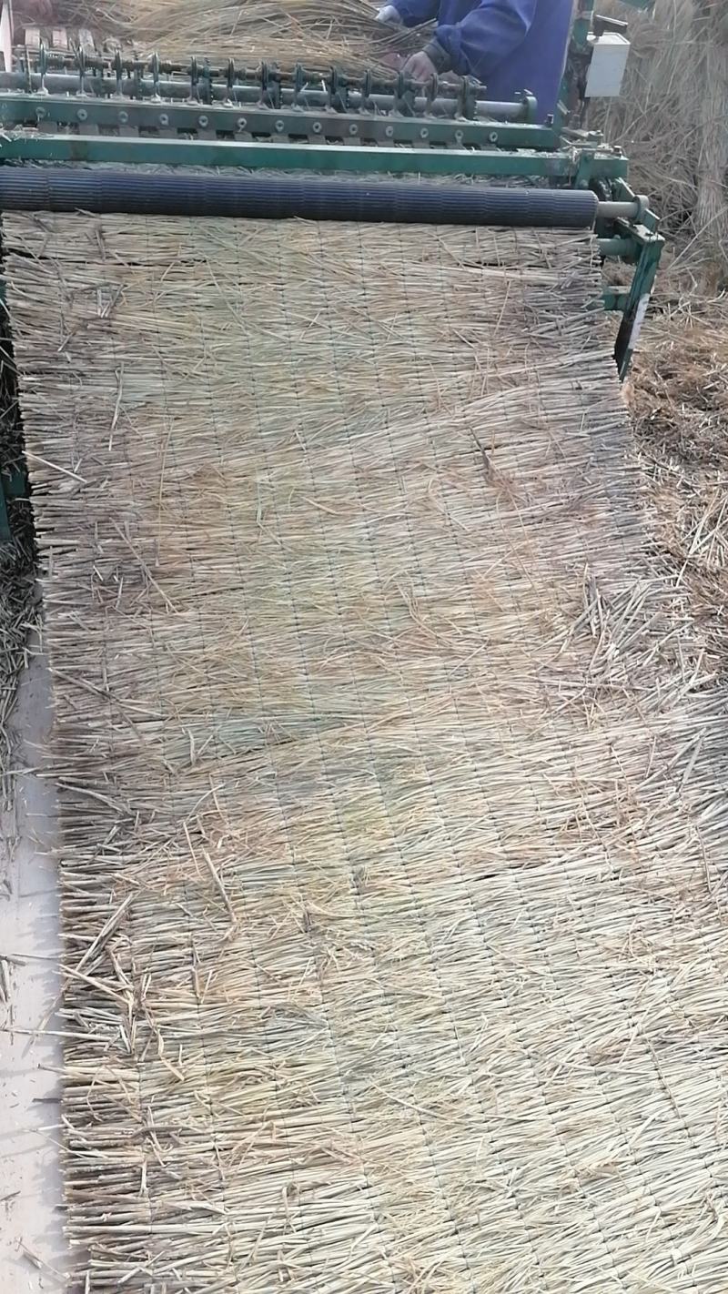 草苫，稻草和各种草制品出售。批发保暖稻草草苫大棚草帘