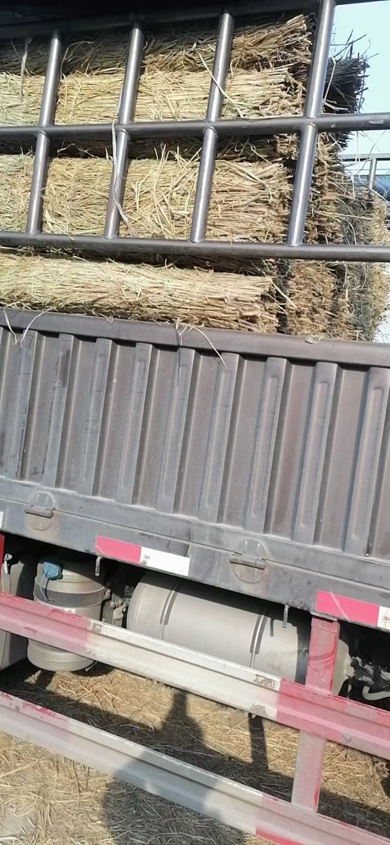 大棚草苫.垫车草帘.质量好价格低。批发保暖稻草草苫子