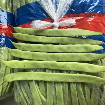 青扁豆，芸豆，大扁，大量上市中，供应批发超市零售